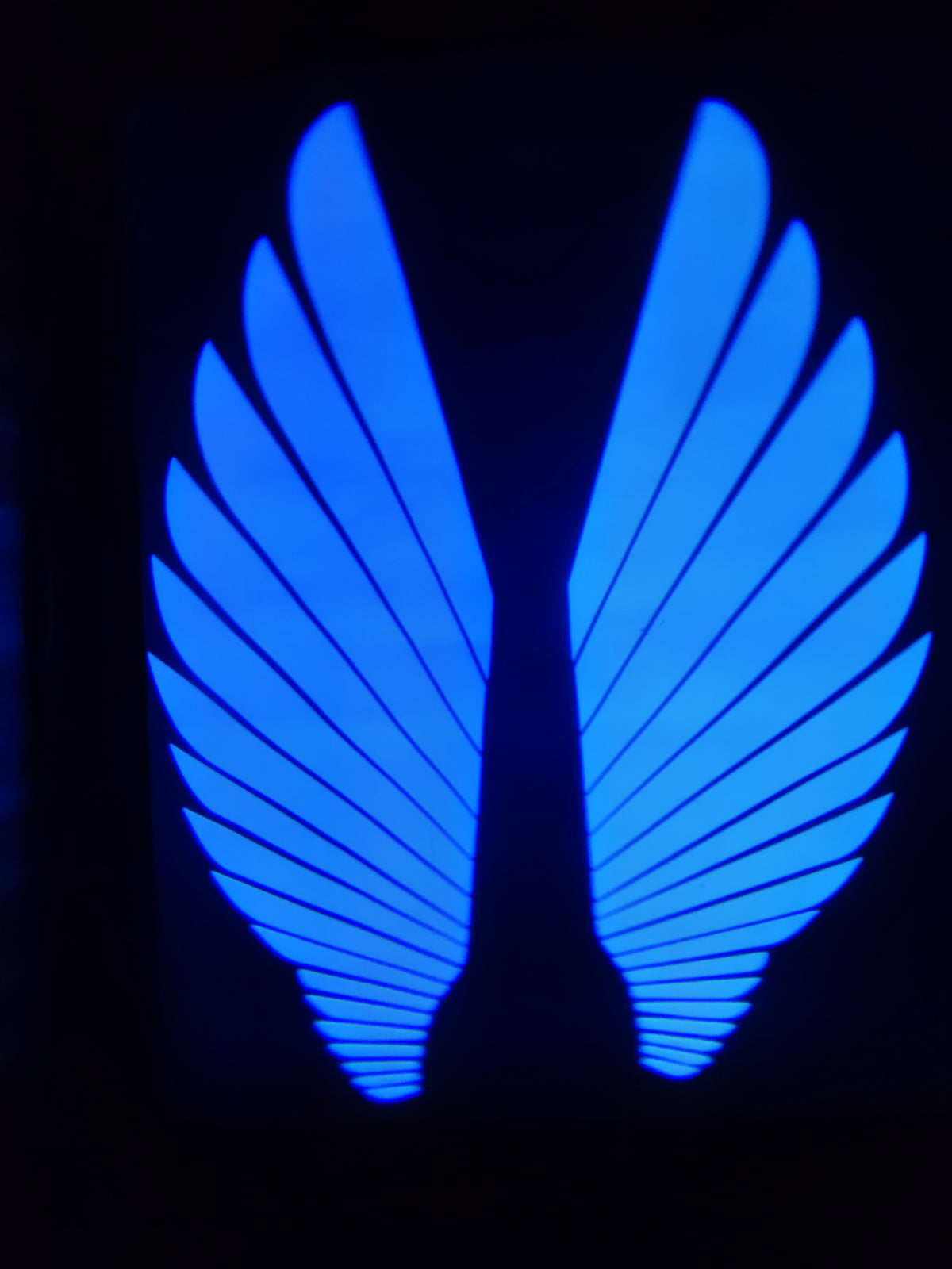 Angel Wings LED Bike Light | Waterproof Motorcycle Underglow Light | Blue LED Bike Decoration Light